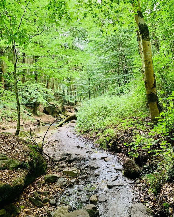 Tailor'S Trail Gite D'Adventure Beaufort Mullerthal 外观 照片