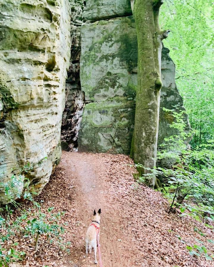 Tailor'S Trail Gite D'Adventure Beaufort Mullerthal 外观 照片
